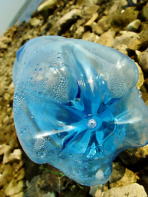 포토 JPG 해외이미지 식물 자연 따뜻함 사람없음 물 파란색 강 태양 환경 재활용 물방울 뜨거움 환경오염 캔 쓰레기 폐기물 컨테이너 먼지 짐싸기 낭비 바이오 해외포토 자연요소 산업 컬러 컨셉 친환경 생태계 파일형식 이미지허브