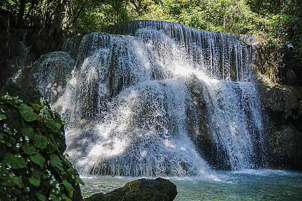 포토 JPG 해외이미지 나무 식물 공원 여행 잎 태국 자연 이끼 풍경 사람없음 목재 초록색 물 강 뷰티 폭포 젖음 흐름 가을 전원 신선 개울 숲 수분 내추럴 양치류 해외포토 자연요소 계절 공공시설 아시아 컬러 컨셉 재료 전기에너지 생태계 파일형식 이미지허브