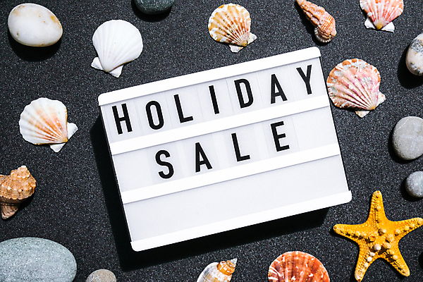 포토 JPG 해외이미지 검은배경 불가사리 실내 사람없음 세일 조개껍데기 라이트박스 홀리데이 해외포토 백그라운드 휴가 조개 극피동물 내부 검은색 파일형식 이미지허브