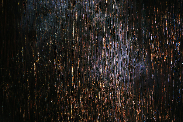 포토 JPG 해외이미지 나무 디자인 외관 벽 백그라운드 패턴 자연 탁자 표면 날씨 추상 바닥 그림자 사람없음 목재 장식 갈색 우주 어둠 수확 시골 기둥 소나무 판넬 얼룩 거친 널 정상 낟알 방향 타일 책상 질감 복고 목공예 그런지 수목 옛날 파케트 해외포토 식물 건축 컬러 가구 무늬 농업 재료 공예 생태계 파일형식 이미지허브