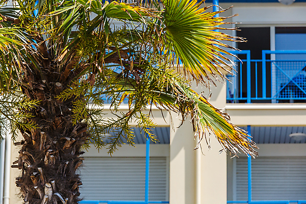 포토 JPG 해외이미지 디자인 외관 컨셉 건축양식 창문 하늘 호텔 부동산 새로움 바닥 아파트 주택 손바닥 사람 사람없음 야외 건물 햇빛 태양 맑음 일몰 블록 발코니 도시 재산 플랫 고급 지중해 빌라 휴양지 연립주택 리빙 개발 복잡 진짜 해외포토 자연요소 건축물 손 건축 바다 숙소 날씨 금융 노을 장소 파일형식 이미지허브