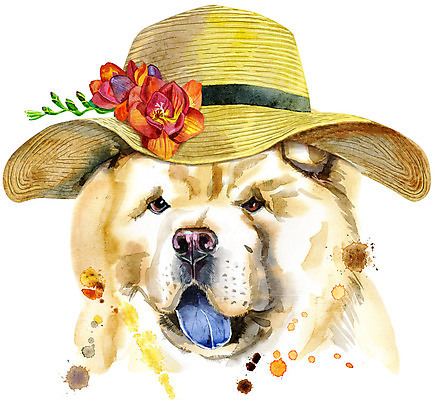 JPG 해외이미지 디자인 꽃 백그라운드 일러스트 미술 사람없음 개 강아지 밀짚모자 차우차우 해외일러스트 식물 모자_잡화 포유류 문화예술 반려동물 파일형식 이미지허브