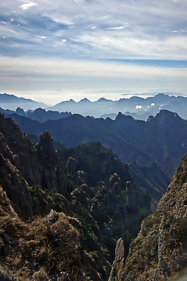 포토 JPG 해외이미지 나무 식물 여행 백그라운드 잎 오렌지 자연 날씨 풍경 사람없음 야외 빨간색 초록색 노란색 정원 중국 가을 황금 숲 그림 장면 해외포토 계절 아시아 컬러 과일 생태계 파일형식 이미지허브