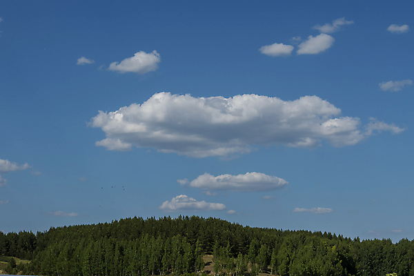포토 JPG 해외이미지 나무 식물 여행 백그라운드 자연 하늘 산 잔디 사람없음 야외 목재 초록색 파란색 컬러풀 환경 계곡 하이킹 가장자리 정상 숲 언덕 침엽수 산악지대 강렬 삼림지대 절정 그리너리 해외포토 컬러 재료 레저 둘레 생태계 파일형식 트랜드컬러 이미지허브