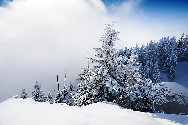 포토 JPG 해외이미지 나무 배너 계절 스포츠 백그라운드 겨울 자연 날씨 휴가 산 경사 사람없음 야외 목재 태양 우주 냉동 얼음 추위 흰색 소나무 숲 접속 휴양지 서리 리프트 장면 봉 내추럴 눈내림 해외포토 자연요소 식물 컬러 재료 눈_날씨 장소 생태계 파일형식 이미지허브