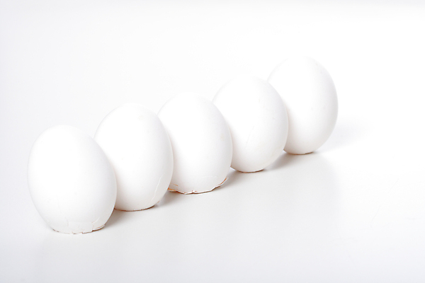 포토 JPG 해외이미지 실내 사람없음 계란 흰배경 일렬 해외포토 백그라운드 내부 알 흰색 파일형식 이미지허브