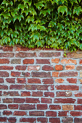 포토 JPG 해외이미지 디자인 외관 벽 백그라운드 패턴 건축양식 표면 날씨 추상 벽돌 돌담 사람없음 빨간색 갈색 블록 수확 골동품 흰색 도시 거친 타일 부식 질감 복고 시멘트 고체 구식 그런지 옛날 콘크리트 화강암 해외포토 건축 컬러 무늬 농업 담장 암석 돌_바위 파일형식 이미지허브