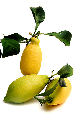 포토 JPG 해외이미지 문화 음료 음식 과일 재료 자연 귤 건강 요리 사람없음 노란색 정원 주스 맛 수집 레몬 레모네이드 유기농 원예 생물학 시트 신맛 해외포토 웰빙 교육 컬러 컨셉 취미 생태계 에이드 파일형식 이미지허브