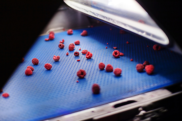 포토 JPG 해외이미지 공장 사람없음 냉동 어둠 기계 제조 산딸기 식품공장 냉동식품 해외포토 음식 과일 공업 파일형식 이미지허브