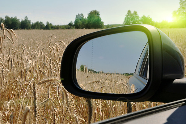 포토 JPG 해외이미지 밭 농업 자동차 자연 씨앗 사람없음 농장 농경지 노란색 수확 성장 시골 황금 낟알 땅 시리얼 밀 숙성 호밀 세련 해외포토 식물 산업 음식 육상교통 컬러 곡류 생태계 파일형식 이미지허브