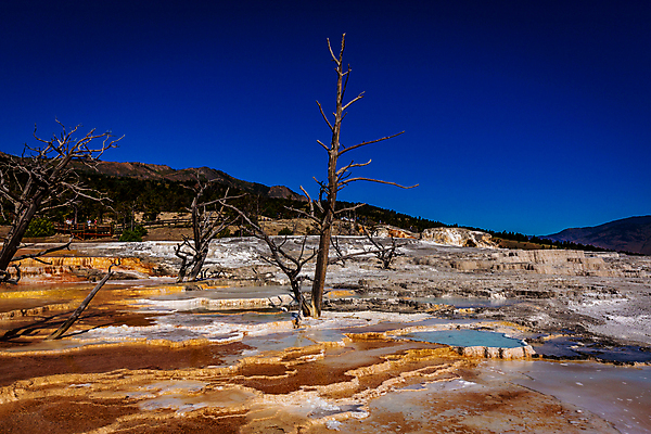 포토 JPG 해외이미지 북아메리카 자연 풍경 사람없음 야외 가로 컬러풀 미국 와이오밍 해외포토 컬러 아메리카 생태계 파일형식 이미지허브