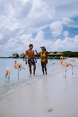 포토 JPG 해외이미지 동물 커플 야생동물 모래 바다 분홍색 섬 여행 자연 조류 휴가 서기 야외 두명 물 파란색 컬러풀 환경 흰색 플라밍고 깃털 새장 내추럴 동물상 이국적 파라다이스 해외포토 자연요소 컬러 관계 모션 사람 조형물 생태계 케이지 파일형식 이미지허브