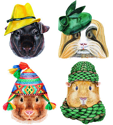 포토 JPG 해외이미지 캐릭터 리본 일러스트 털모자 미술 사람없음 반려동물 세트 목도리 기니피그 해외일러스트 동물 모자_잡화 잡화 포유류 문화예술 파일형식 이미지허브