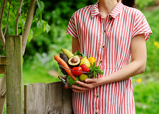 포토 JPG 해외이미지 잡화 행복 음식 토마토 채소 가방 과일 건강 요리 미소 사람 사람없음 쇼핑 바구니 주방 정원 흰색 신선 잡기 농부 유기농 원예 고립 해외포토 직업 웰빙 감정 컬러 모션 표정 취미 파일형식 이미지허브