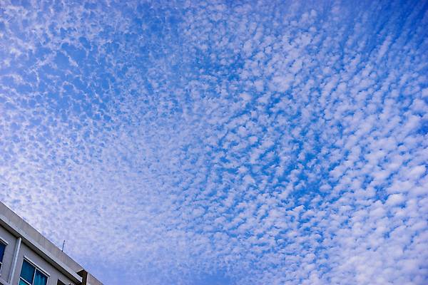 포토 JPG 해외이미지 디자인 외관 산업 벽 백그라운드 컨셉 비즈니스 건축양식 공장 태국 하늘 지붕 추상 새로움 주택 사람없음 건물 파란색 사무실 도시 재산 정상 옥상 타일 묘사 창고 봉 섬유 해외포토 건축물 건축 아시아 컬러 무늬 공업 금융 직물 파일형식 이미지허브