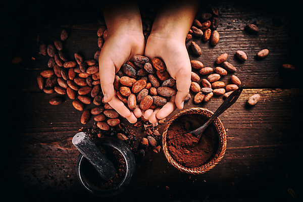 포토 JPG 해외이미지 손 들기 신체부위 초콜릿 숟가락 절구 비네팅 막자 절굿공이 카카오열매 코코아가루 나무배경 해외포토 열매 백그라운드 모션 디저트 촬영기법 수저 사람 도구 가루 카카오 파일형식 이미지허브