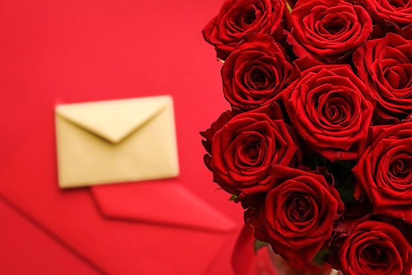 포토 JPG 해외이미지 꽃다발 백그라운드 편지봉투 발렌타인데이 사람없음 빨간색 장미 러브레터 해외포토 꽃 컬러 데이이벤트 봉투 편지 파일형식 이미지허브