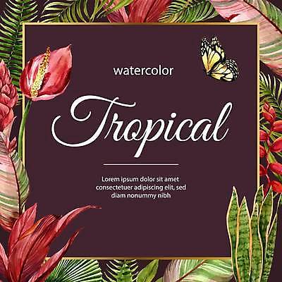 EPS 해외이미지 나무 식물 템플릿 디자인 배너 계절 꽃 백그라운드 잎 꽃무늬 채소 일러스트 자연 조류 추상 수채화 프레임 장식 빨간색 빛 컬러풀 노란색 가을 흰색 축하 소나무 투명 그림 내추럴 양치류 엘리먼트 국경 해외일러스트 동물 컬러 컨셉 무늬 생태계 파일형식 벡터 이미지허브