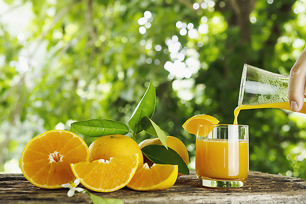 포토 JPG 해외이미지 1 음료 음식 조각 잎 오렌지 과일 부분 자연 유리 귤 건강 사람없음 목재 초록색 여름 세트 노란색 주스 흰색 신선 달콤 맛 자르기 상쾌 유기농 날것 슬라이스 비타민 C 내추럴 고립 숙성 채식주의자 해외포토 나무 식물 웰빙 알파벳 계절 감정 컬러 컨셉 재료 모션 재질 생태계 채식 영양소 파일형식 이미지허브