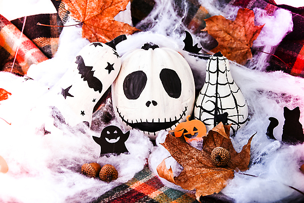 포토 JPG 해외이미지 낙엽 호박 사람없음 장식 고양이 할로윈 유령 솜 오브젝트 도토리 해외포토 잎 채소 포유류 반려동물 견과류 파일형식 이미지허브