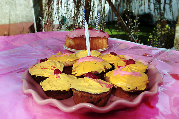 포토 JPG 해외이미지 전통 접시 행복 문화 음식 분홍색 탁자 디저트 기념 요정 요리 사람없음 야외 장식 빨간색 파란색 빛 갈색 노란색 파티 케이크 정원 초콜릿 얼음 축제 축하 대접 신선 생일 체리 달콤 맛 폐기물 컵케이크 굽기 연도 부드러움 머핀 토핑 고립 번 페스츄리 핸드메이드 맛있는 해외포토 자연요소 식기 기념일 감정 빵 컬러 가구 컨셉 과일 이벤트 감각 쓰레기 구이 파일형식 이미지허브