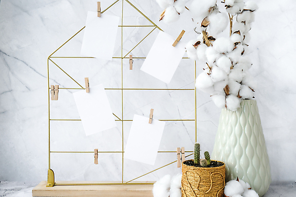 포토 JPG 해외이미지 화분 종이 선인장 실내 사람없음 인테리어 꽃병 나무집게 목화꽃 선인장화분 목업 목화솜 해외포토 식물 디자인 꽃 집게 내부 목재 솜 파일형식 이미지허브