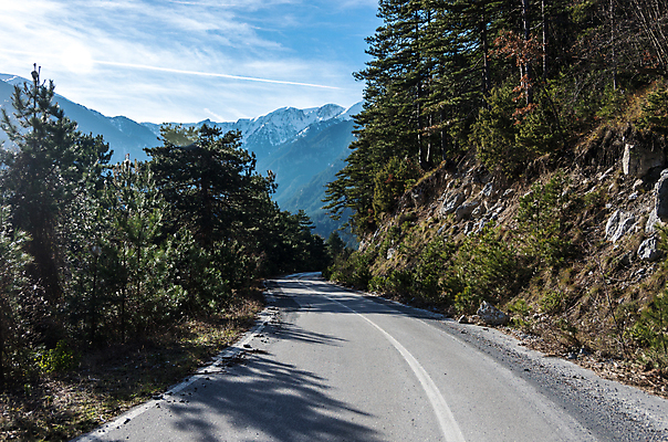 포토 JPG 해외이미지 나무 공원 유럽 야생동물 여행 자국 자연 하늘 산 사람없음 야외 목재 초록색 파란색 컬러풀 햇빛 태양 뷰티 골짜기 맑음 하이킹 시골 정상 숲 그리스 언덕 장면 신화 그리스인 내추럴 전국 절정 해외포토 자연요소 서양인 식물 동물 공공시설 나라 컬러 재료 레저 날씨 생태계 파일형식 이미지허브