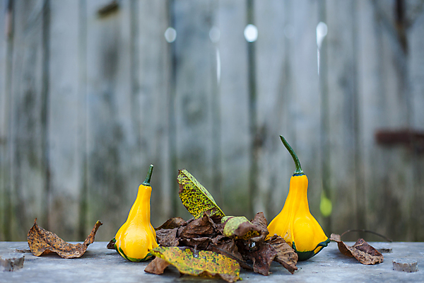 포토 JPG 해외이미지 식물 접시 음식 백그라운드 농업 다이어트 채소 오렌지 재료 자연 탁자 호박 파슬리 건강 요리 사람없음 목재 가로 초록색 갈색 노란색 식사 신선 닫기 먹기 유기농 날것 박 스쿼시 내추럴 점심식사 고립 숙성 주키니 채식주의자 해외포토 나무 식기 웰빙 산업 스포츠 컬러 가구 과일 모션 구기 생태계 채식 파일형식 이미지허브