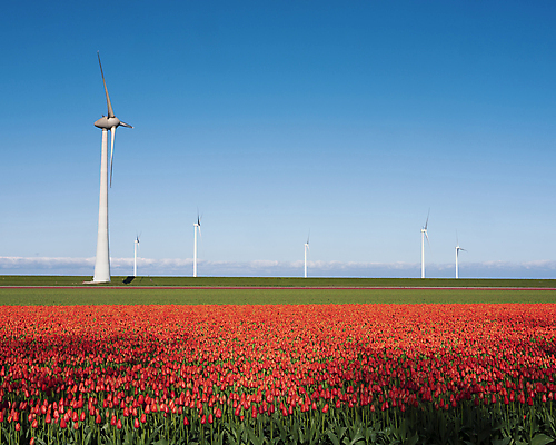 포토 JPG 해외이미지 식물 계절 꽃 꽃무늬 밭 농업 전구 자연 하늘 바람 사람없음 야외 빨간색 초록색 파란색 컬러풀 뷰티 농장 농경지 환경 정원 힘 봄 풍차 발전기 에너지 튤립 벚꽃 흰색 시골 칼날 네덜란드 프로펠러 유지 내추럴 방앗간 해외포토 자연요소 유럽 산업 컬러 무늬 날씨 발전소 생태계 파일형식 이미지허브