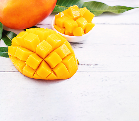 포토 JPG 해외이미지 스튜디오촬영 그릇 나뭇잎 사람없음 노란색 망고 해외포토 식기 컬러 잎 실내 열대과일 파일형식 이미지허브