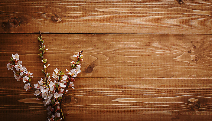 포토 JPG 해외이미지 꽃 벽 백그라운드 패턴 자연 벽지 표면 바닥 사람없음 목재 여름 봄 수확 시골 소나무 마루 거친 천 유기농 질감 자원 내추럴 평행 그런지 수목 나무배경 해외포토 나무 식물 웰빙 계절 무늬 농업 재료 직물 생태계 파일형식 이미지허브