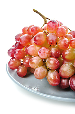 포토 JPG 해외이미지 계절 열매 산업 음식 백그라운드 농업 과일 자연 포도 사람없음 빨간색 주스 봄 흰색 나뭇가지 신선 달콤 다발 포도밭 포도나무 내추럴 고립 숙성 이국적 맛있는 해외포토 나무 식물 음료 컬러 밭 맛 과일나무 생태계 파일형식 이미지허브