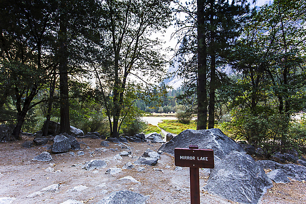 포토 JPG 해외이미지 공원 자연 산 사람없음 캘리포니아 요세미티국립공원 해외포토 공공시설 국립공원 미국 생태계 파일형식 이미지허브