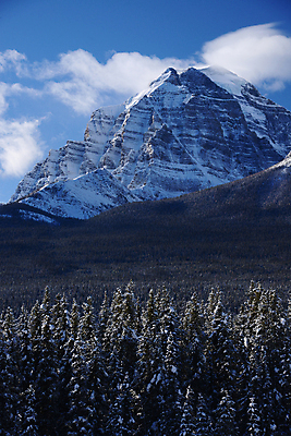 포토 JPG 해외이미지 공원 캐나다 겨울 자연 산 풍경 사람없음 야외 얼음 추위 흰색 빙하 장면 밴프 빙원 앨버타 전국 절정 눈내림 로키산맥 해외포토 자연요소 계절 공공시설 컬러 북아메리카 눈_날씨 생태계 파일형식 이미지허브