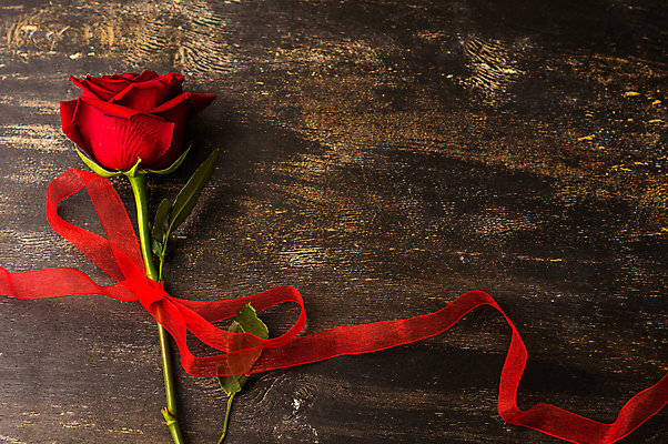 포토 JPG 해외이미지 꽃 리본 백그라운드 사람없음 빨간색 하이앵글 장미 해외포토 식물 뷰포인트 컬러 파일형식 이미지허브