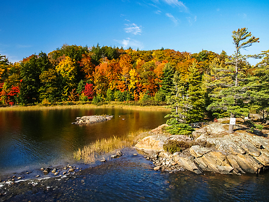 포토 JPG 해외이미지 구름 응시 호수 섬 여행 백그라운드 캐나다 오렌지 자국 자연 휴가 풍경 사람없음 야외 빨간색 물 여름 파란색 뷰티 노란색 미국 일몰 꿈 하이킹 가을 연못 만 캠핑장 북쪽 방패 해외포토 자연요소 시선 계절 컬러 북아메리카 과일 레저 노을 캠핑 방향 생태계 파일형식 이미지허브