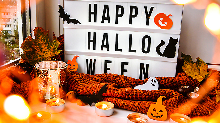 포토 JPG 해외이미지 낙엽 실내 사람없음 할로윈 유령 소프트포커스 박쥐 향초 라이트박스 잭오랜턴 해외포토 잎 초 포유류 촬영기법 내부 파일형식 이미지허브