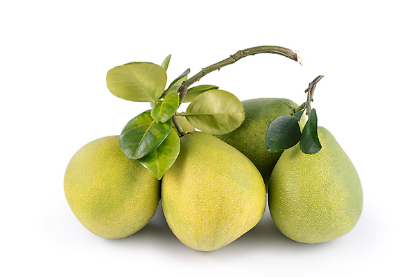 포토 JPG 해외이미지 잎 과일 사람없음 연두색 포멜로 해외포토 식물 초록색 파일형식 이미지허브