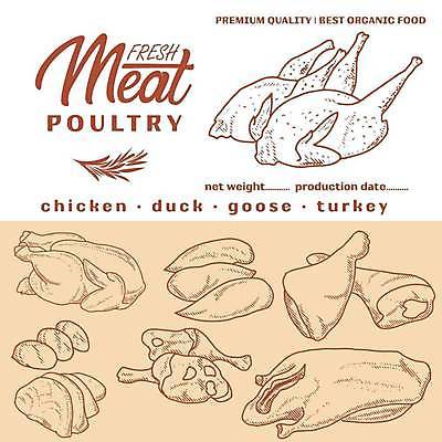 EPS 해외이미지 라인일러스트 일러스트 육류 사람없음 닭고기 오리고기 베이지색 정육점 칠면조고기 해외일러스트 컬러 식재료 오리 상점 파일형식 벡터 이미지허브