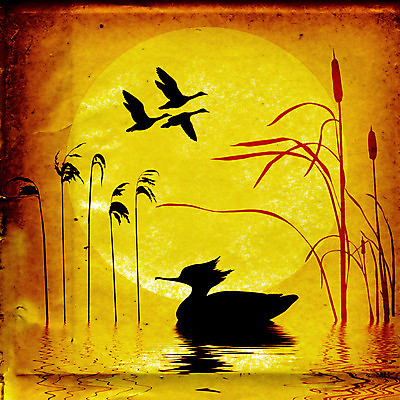 JPG 해외이미지 실루엣 여러마리 일러스트 사람없음 태양 반사 노란색 비행 빈티지 질감 부들 해외일러스트 자연요소 컬러 다수 컨셉 촬영기법 파일형식 이미지허브