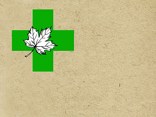 포토 JPG 해외이미지 디자인 종이 백그라운드 단풍 자연 표면 날씨 추상 프레임 사람없음 책 초록색 갈색 노란색 우주 쪽지 공백 수확 점 거친 주름 균열 황폐 보호 질감 문서 복고 심플 페이지 스크래치 찢어짐 시트 판지 나쁜 구식 그런지 세피아 양피지 옛날 원고 파피루스 노화 스타일 해외포토 식물 컬러 컨셉 잎 무늬 농업 모션 촬영기법 생태계 파일형식 이미지허브