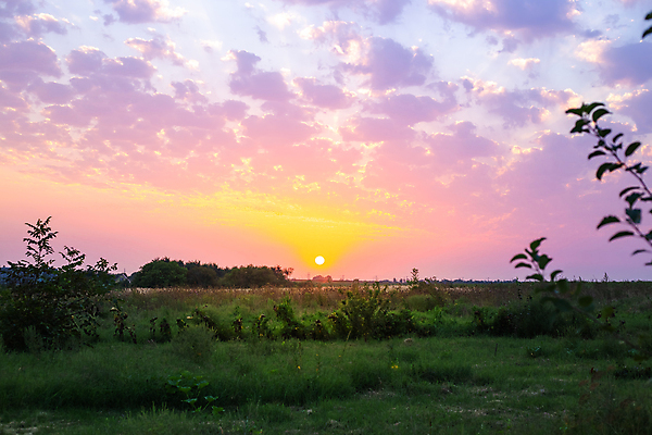 포토 JPG 해외이미지 나무 구름 밭 농업 자연 하늘 풍경 초원 사람없음 야외 초록색 여름 파란색 햇빛 태양 일몰 새벽 시골 저녁 그림 장면 해외포토 자연요소 식물 계절 산업 컬러 노을 야간 생태계 파일형식 이미지허브
