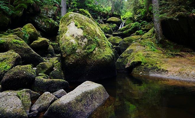 포토 JPG 해외이미지 나무 공원 여행 자연 독일 이끼 풍경 사람없음 야외 초록색 물 여름 강 환경 골짜기 검은색 어둠 폭포 하이킹 회색 흐름 바위 개울 숲 작음 좁은 대야 해외포토 자연요소 식물 계절 공공시설 유럽 컬러 컨셉 레저 돌_바위 크기 생태계 파일형식 이미지허브