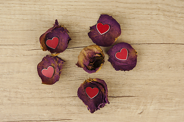 포토 JPG 해외이미지 모양 식물 꽃잎 꽃 분홍색 결혼 백그라운드 꽃무늬 자연 탁자 건조 발렌타인데이 선물 사랑 사람없음 목재 장식 빨간색 뷰티 장미 우주 스파 낭만 수확 벚꽃 하트 시골 축하 죽음 신용카드 정상 허브 심볼 복고 아로마 흙더미 내추럴 옛날 해외포토 나무 감정 컬러 가구 컨셉 무늬 농업 재료 데이이벤트 이벤트 금융 흙 생태계 파일형식 더미 이미지허브