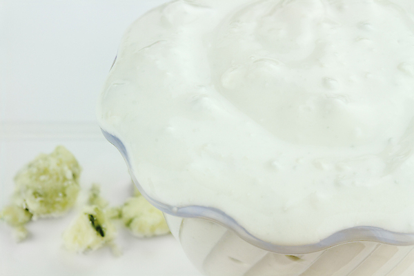 포토 JPG 해외이미지 접시 음식 재료 부분 유리 치즈 건강 요리 사람없음 컵 가로 파란색 사진촬영 목장 샐러드 시골 신선 조미료 닫기 인스턴트 상품 컨테이너 가득함 크림 그림 성분 요거트 입가심 채식주의자 핸드메이드 카피스페이스 해외포토 식기 산업 컬러 모션 재질 유제품 촬영 공백 채식 향미료 파일형식 이미지허브