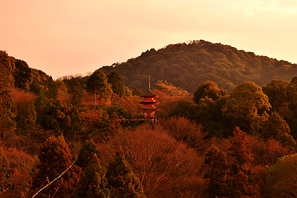 포토 JPG 해외이미지 주간 나무 불교 자연 산 풍경 사람없음 야외 가을풍경 가을 교토 기요미즈데라 파고다 해외포토 자연요소 식물 건축물 계절 종교 일본 생태계 신사_일본건축 파일형식 가을_계절 이미지허브