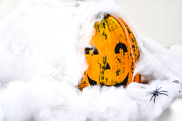 포토 JPG 해외이미지 호박 사람없음 할로윈 솜 오브젝트 거미 잭오랜턴 해외포토 곤충 채소 파일형식 이미지허브