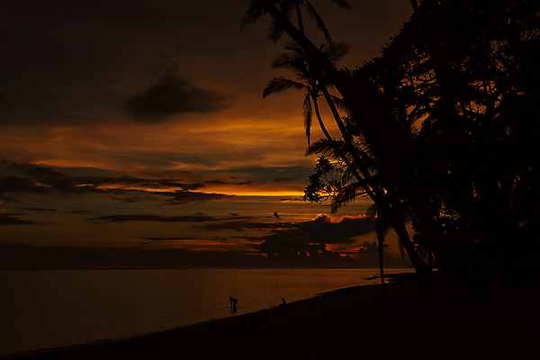 포토 JPG 해외이미지 실루엣 오렌지 사람 사람없음 비키니 여행객 휴양지 해외포토 수영복 과일 촬영기법 장소 파일형식 이미지허브