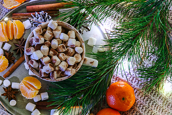 포토 JPG 해외이미지 잎 귤 쟁반 실내 따뜻함 사람없음 하이앵글 머그컵 달콤 솔방울 감성 코코아 마시멜로우 시나몬스틱 코코아가루 팔각회향 해외포토 식물 음료 뷰포인트 컨셉 과일 디저트 내부 컵 맛 가루 향신료 시나몬 파일형식 이미지허브