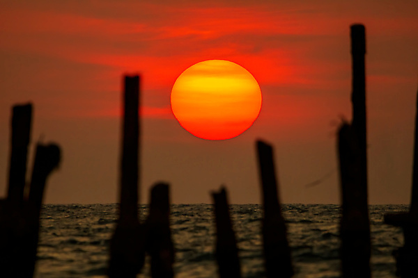 포토 JPG 해외이미지 파도 바다 자연 하늘 아침 사람없음 야외 햇빛 태양 일출 소프트포커스 나무막대기 해외포토 주간 자연요소 촬영기법 노을 막대기 생태계 파일형식 이미지허브